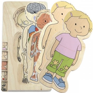 Your Body Layer Puzzle