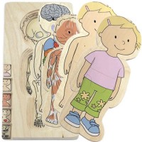 Your Body Layer Puzzle