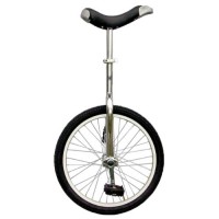 Unicycle