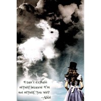 Alice In Wonderland Illusions Poster