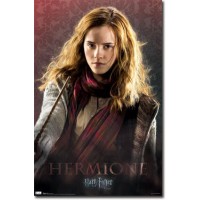 Hermione Granger Deathly Hallows Part 1 Movie Poster