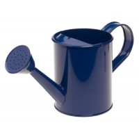 Metal Watering Can