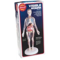 Visible Woman Model Kit