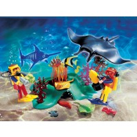 Divers in Tropical Reef