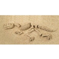 Sandosaurus T-Rex Kit