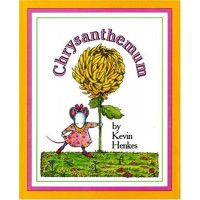 Chrysanthemum