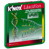 DNA, Replications and Transcription Set