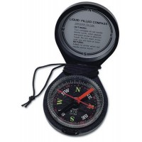 Directional Compass
