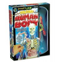 You Explore It: Human Body