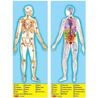 Human Body Floor Puzzle