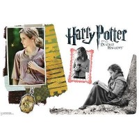 Hermione Granger Deathly Hallows Wall Decal