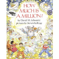 How Much Is a Million? 