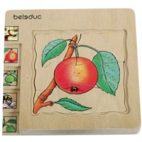 Seed to Apple Puzzle
