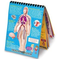 Human Body Undercover