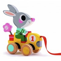 Rabbit Racer Pull Toy