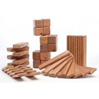 Tegu Natural Discovery Set