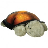 Constellation Night Light