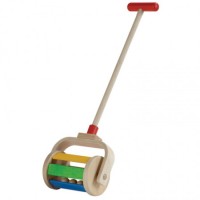 Walk N Roll Push Toy